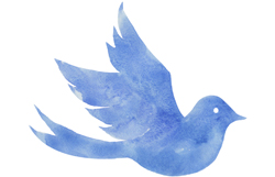 青い鳥ロゴ