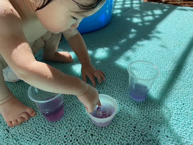 朝顔色水